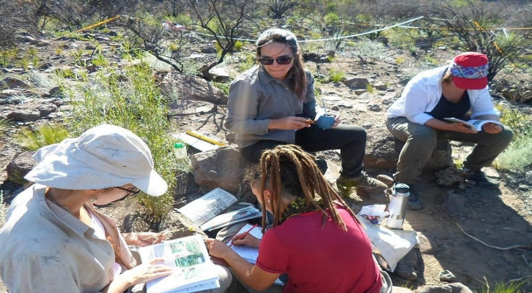 imagen Agrarias colabora en la restauración del Cerro Arco