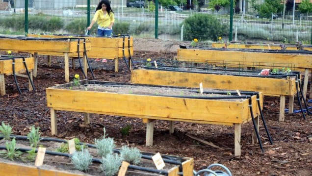 imagen Recolectan botellas para construir un invernadero ecológico