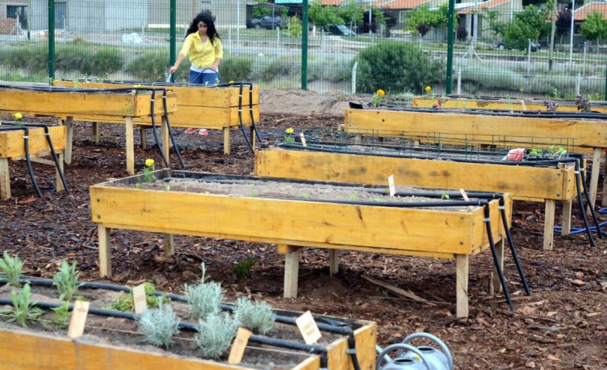 imagen Recolectan botellas para construir un invernadero ecológico