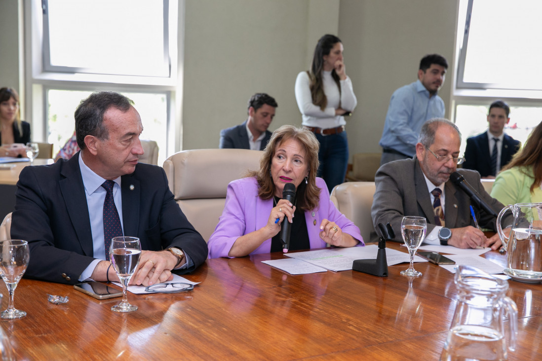 imagen El Consejo Superior insistió en la necesidad de la Ley de Financiamiento Universitario