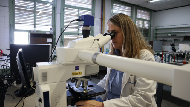 imagen La UNCUYO podrá realizar análisis para el diagnóstico de enfermedades genéticas