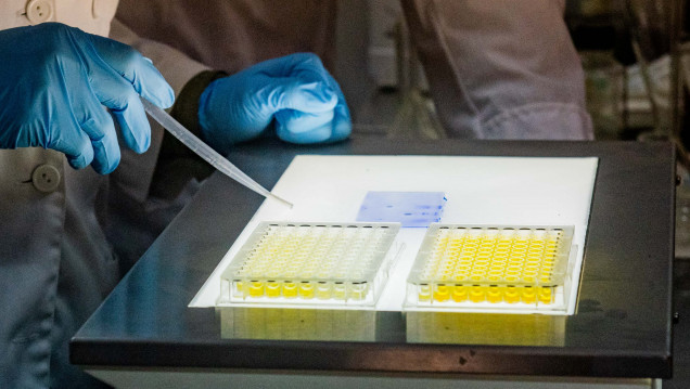 imagen Investigación universitaria: siguen en curso las evaluaciones de categorización del PRINUAR