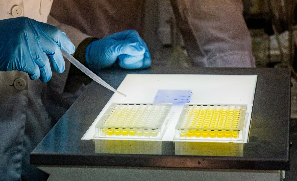 imagen Investigación universitaria: siguen en curso las evaluaciones de categorización del PRINUAR