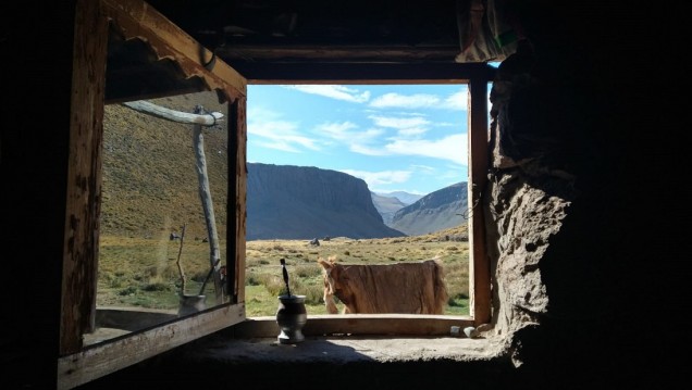 imagen Festival Pasturas, una competencia cinematográfica sobre el mundo rural