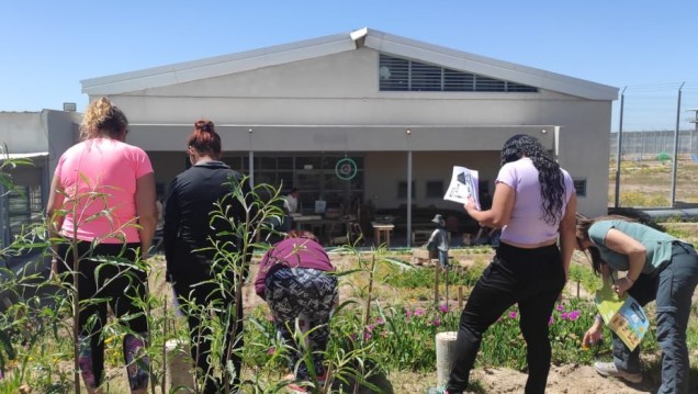 imagen Internos e internas de Almafuerte aprenden jardinería y horticultura
