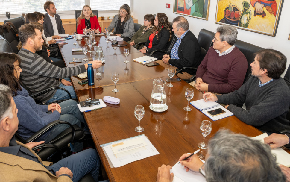 imagen La UNCUYO propone crear un consejo científico-tecnológico para abordar problemáticas locales