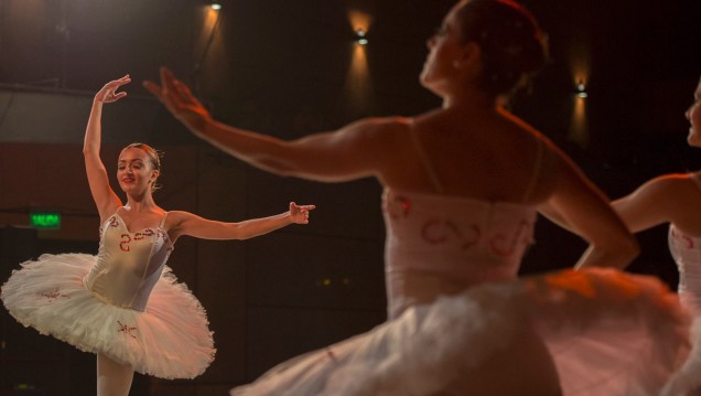 imagen El Ballet UNCuyo actuará en la Feria de la Música