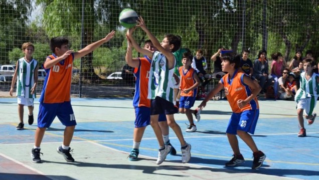 imagen Más de 500 chicos jugarán al minibásquet en la Universidad