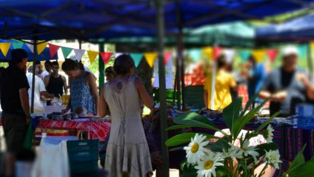 imagen Bioferia: Un espacio de alimentos saludables para visitar en Políticas