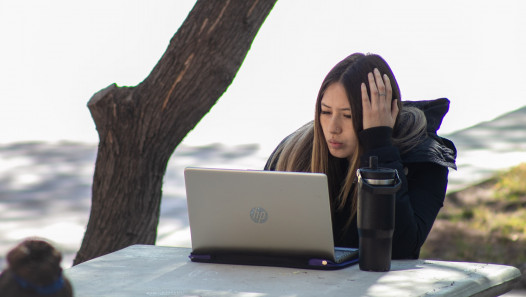 imagen La UNCUYO ofrece talleres virtuales de orientación vocacional para estudiantes de zonas alejadas