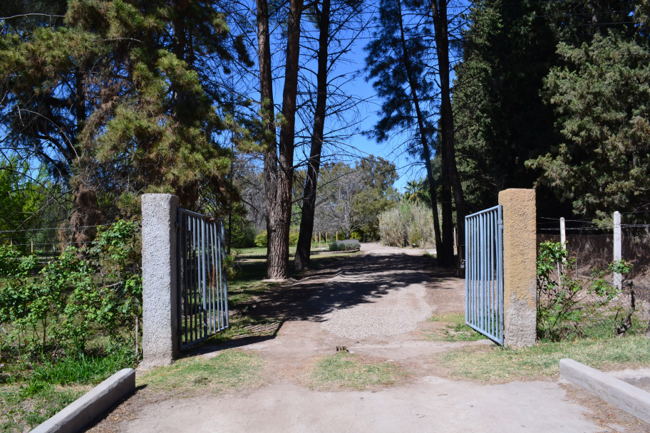 imagen El único jardín botánico de Mendoza abre sus puertas a la comunidad