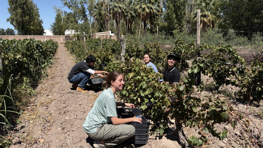 imagen que ilustra noticia La Vendimia también se vive en la UNCUYO