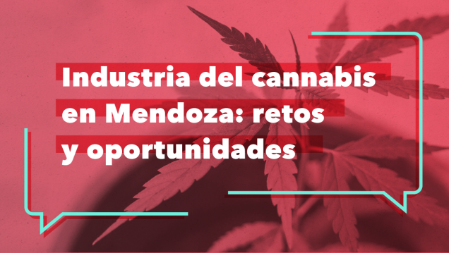 imagen Reflexionarán sobre las potencialidades del uso medicinal del cannabis en la Provincia