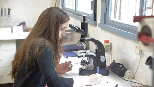 imagen Las mujeres repiensan su rol en las ciencias