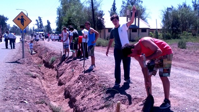 imagen Estudiantes del Liceo plantarán árboles en escuela del Campo Papa