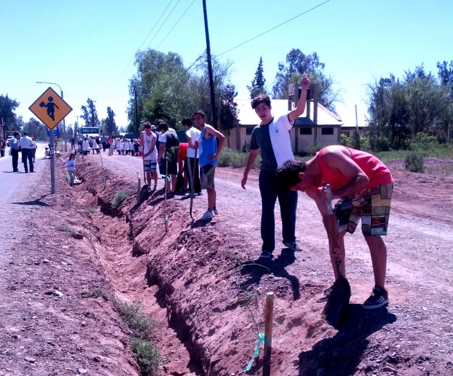 imagen Estudiantes del Liceo plantarán árboles en escuela del Campo Papa
