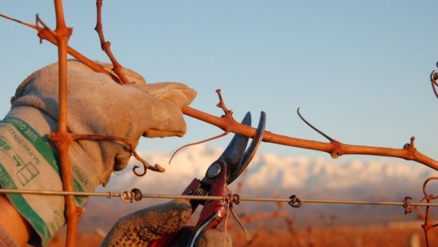 imagen Primer concurso nacional de fotografía sobre el campo