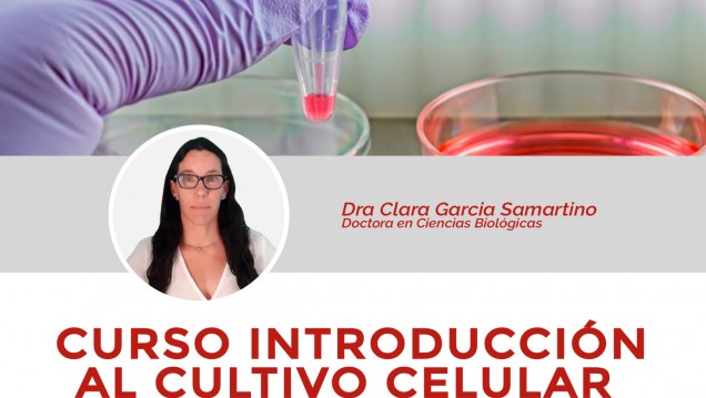 imagen Ofrecen un curso gratuito de Introducción al cultivo celular