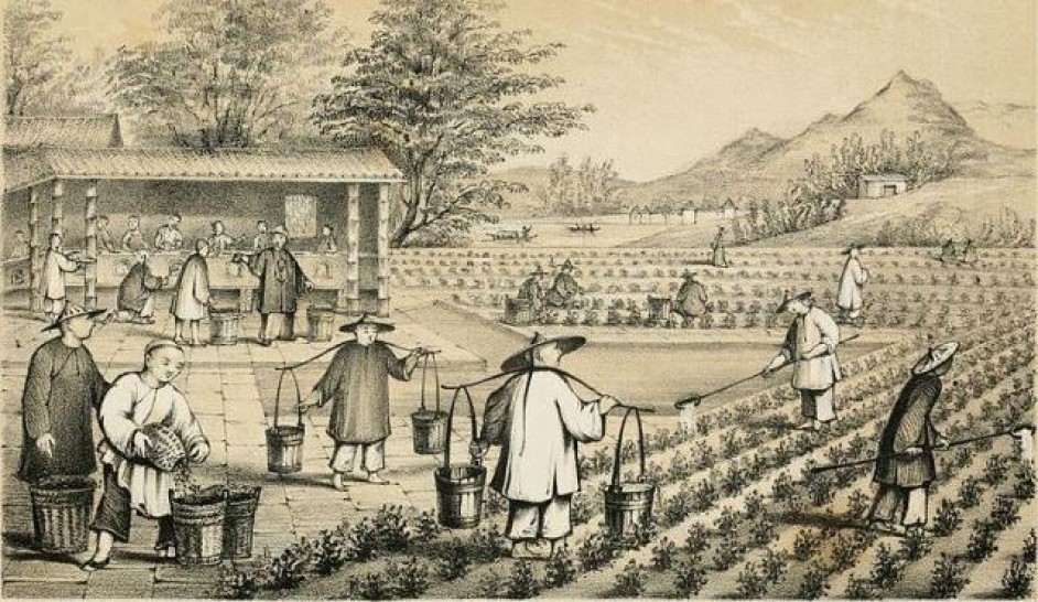 imagen Cultura china: historia y origen del pensamiento