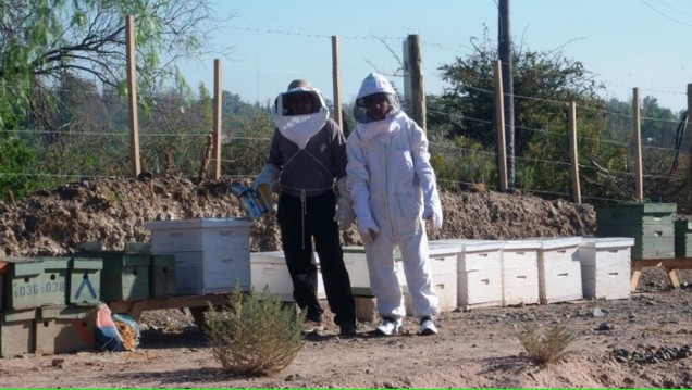 imagen Comienza taller de apicultura en el Liceo Agrícola