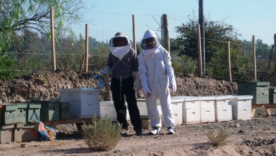 imagen Comienza taller de apicultura en el Liceo Agrícola