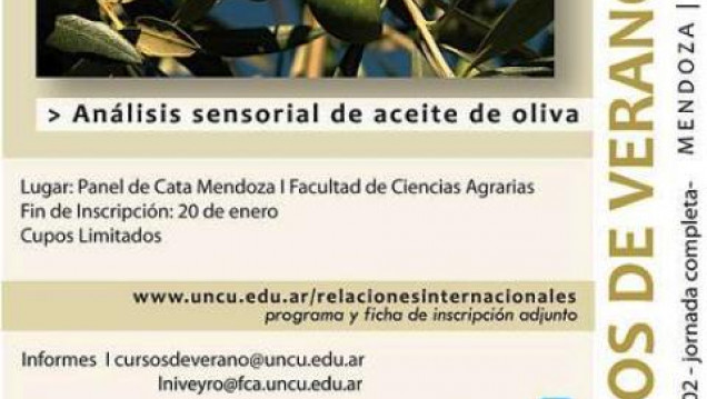 imagen Enseñan a catar aceite de oliva