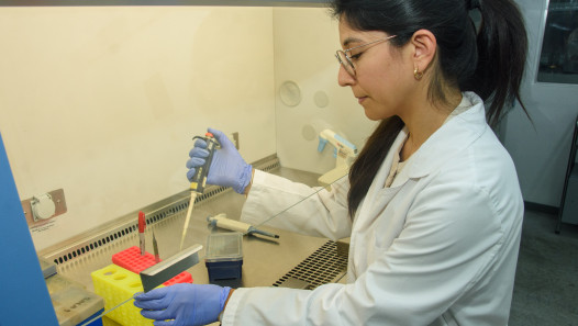 imagen Convocatoria de proyectos para docentes investigadoras de áreas STEM