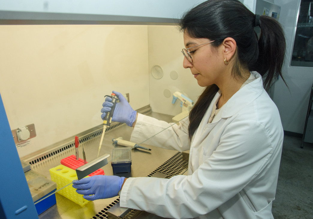 imagen Convocatoria de proyectos para docentes investigadoras de áreas STEM