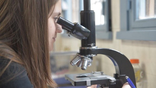 imagen La mujer y la niña en la ciencia: en la UNCUYO representan el 54,9% de la comunidad investigadora