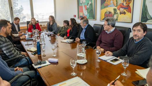 imagen La UNCUYO propone crear un consejo científico-tecnológico para abordar problemáticas locales
