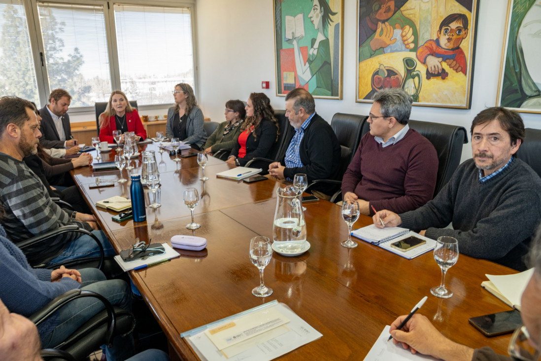 imagen La UNCUYO propone crear un consejo científico-tecnológico para abordar problemáticas locales