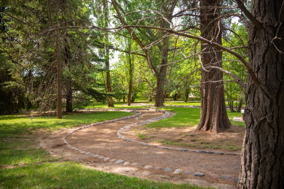 imagen El único jardín botánico de Mendoza abre sus puertas a la comunidad