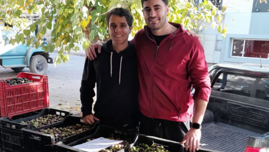 imagen La facultad de Ciencias Agrarias acompañó a dos estudiantes para crear su marca de aceite de oliva