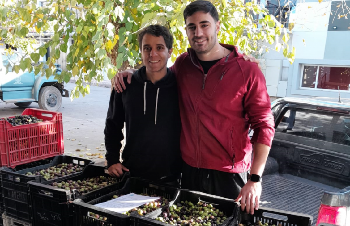 imagen La facultad de Ciencias Agrarias acompañó a dos estudiantes para crear su marca de aceite de oliva