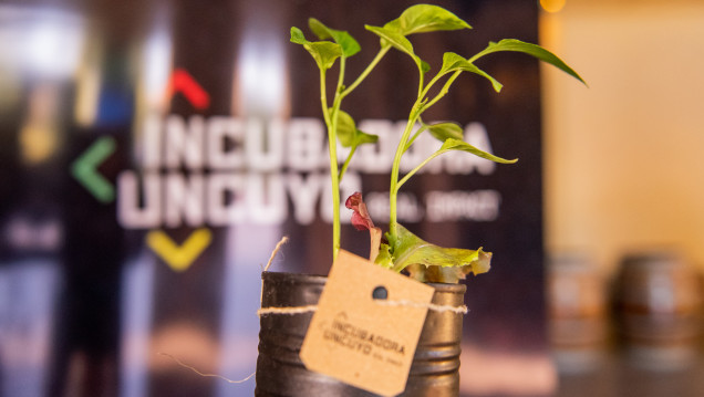 imagen La UNCUYO te invita a una clase gratuita sobre sostenibilidad e innovación