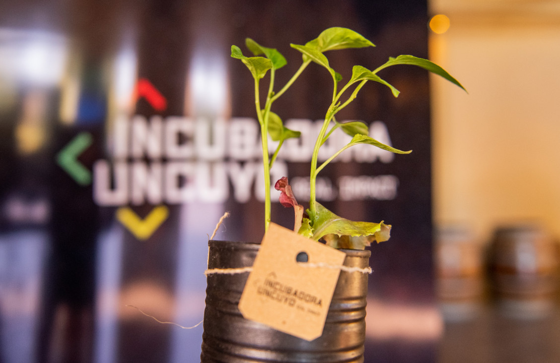 imagen La UNCUYO te invita a una clase gratuita sobre sostenibilidad e innovación