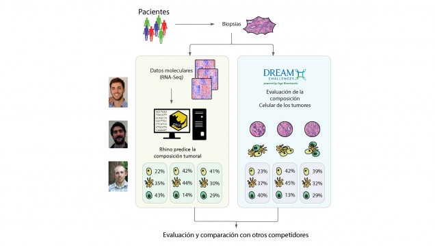 imagen UNCUYO y Harvard se unen para desarrollar novedoso modelo bioinformático