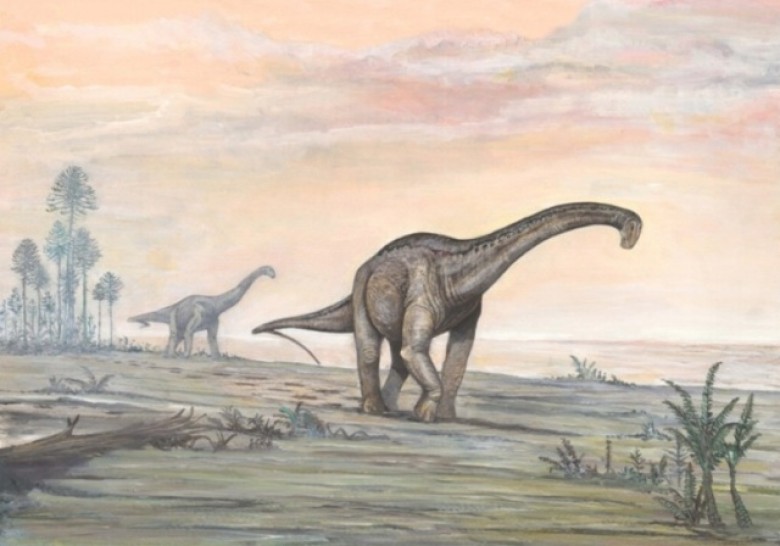 imagen Tras las huellas del dinosaurio malargüino