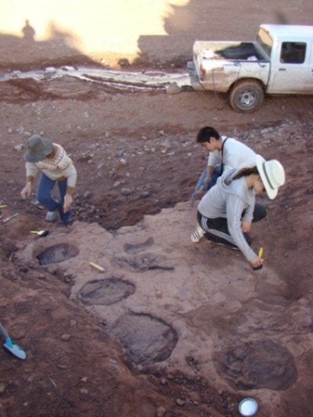 imagen Tras las huellas del dinosaurio malargüino