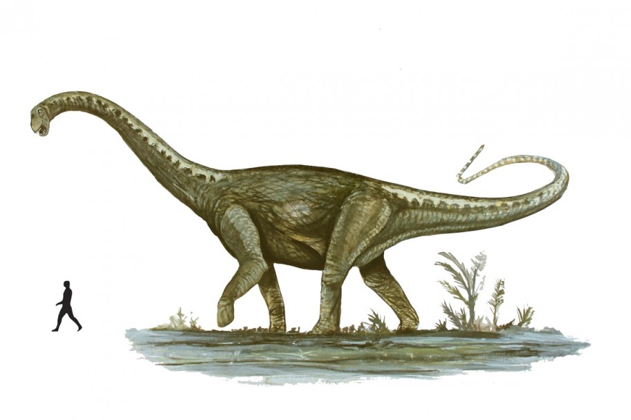 imagen Hallaron en Malargüe uno de los dinosaurios más grandes del mundo