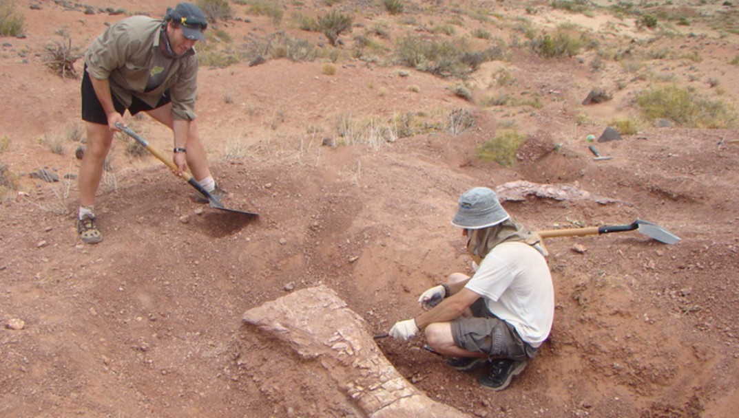 imagen Hallaron en Malargüe uno de los dinosaurios más grandes del mundo