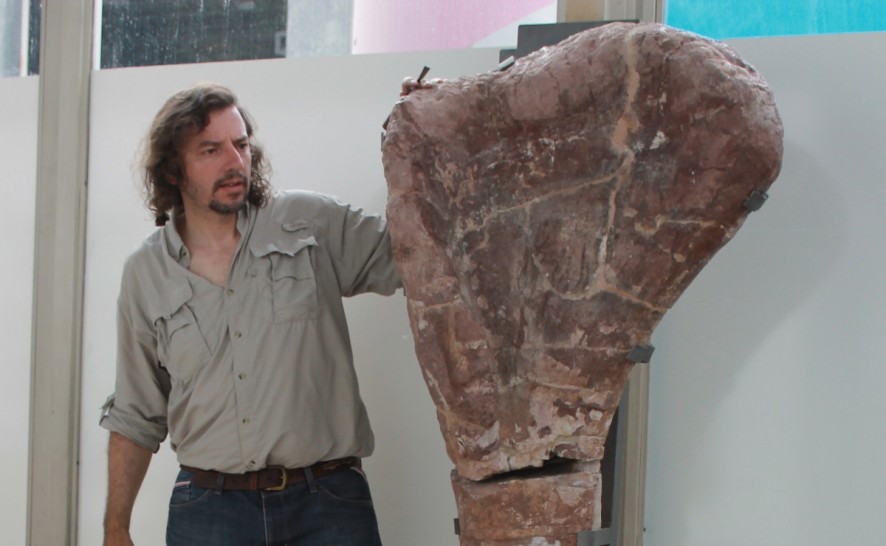 imagen Hallaron en Malargüe uno de los dinosaurios más grandes del mundo