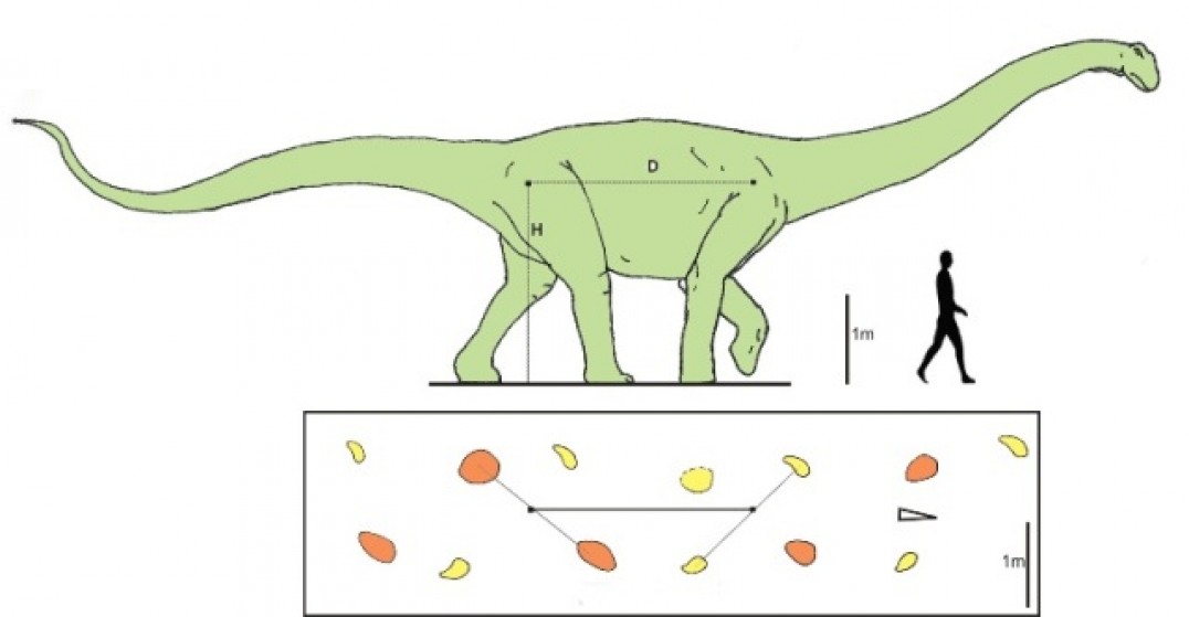 imagen Tras las huellas del dinosaurio malargüino