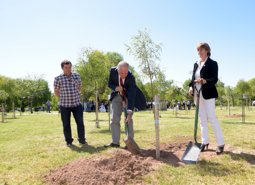 imagen Cuarenta eucaliptos dan vida al Paseo de la Memoria 