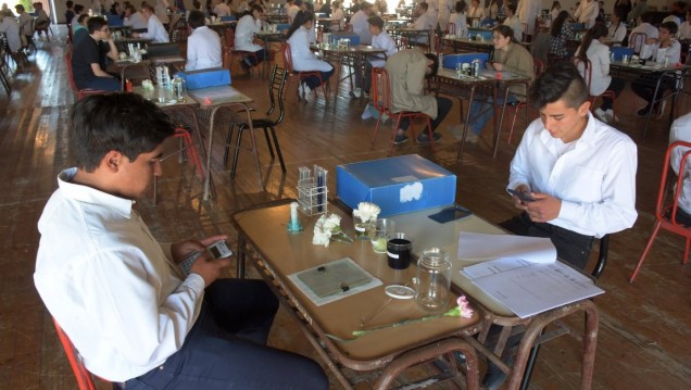 imagen ¿Qué problemas resuelven los chicos que participan de las Olimpíadas de Ciencias Junior?