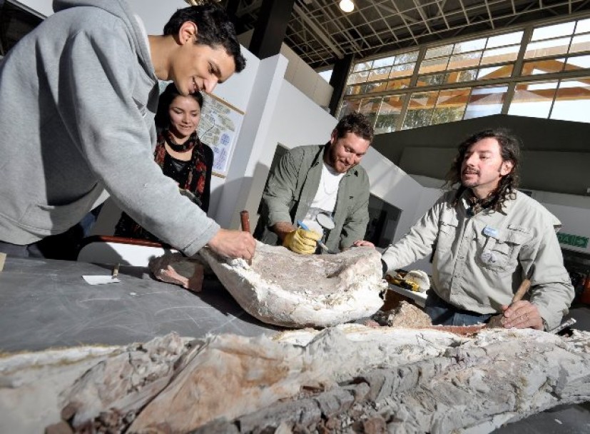 imagen Trasladaron al laboratorio de la UNCuyo restos fósiles de dinosaurios