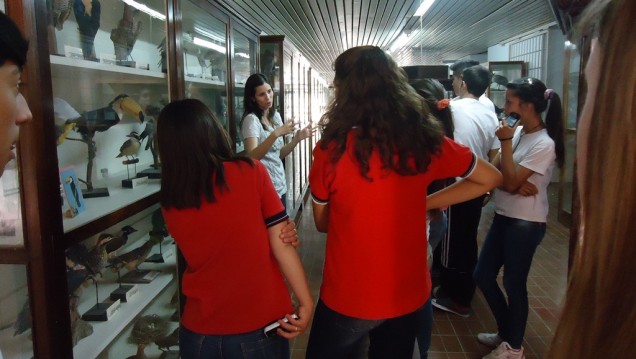 imagen Estudiantes del Liceo Agrícola serán guías por un día