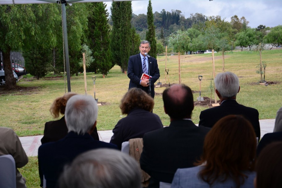 imagen Eucaliptus para "sembrar memoria" en el Paseo de los desaparecidos de la UNCuyo