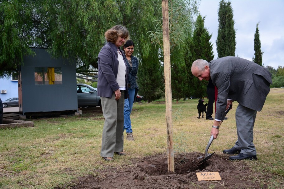 imagen Eucaliptus para "sembrar memoria" en el Paseo de los desaparecidos de la UNCuyo