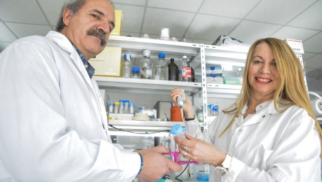 imagen Investigadores analizarán cómo el vino reduce el colesterol